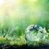 iStock-943875208-web-1200×713